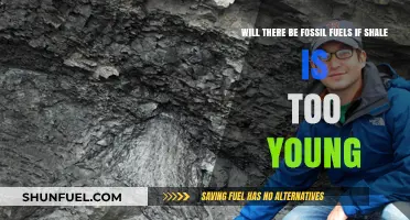 Are Fossil Fuels Possible if Shale Deposits Are Geologically Young?