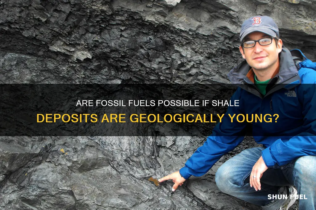 will there be fossil fuels if shale is too young