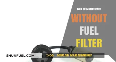 Trimmer Won't Start: Fuel Filter Issues?