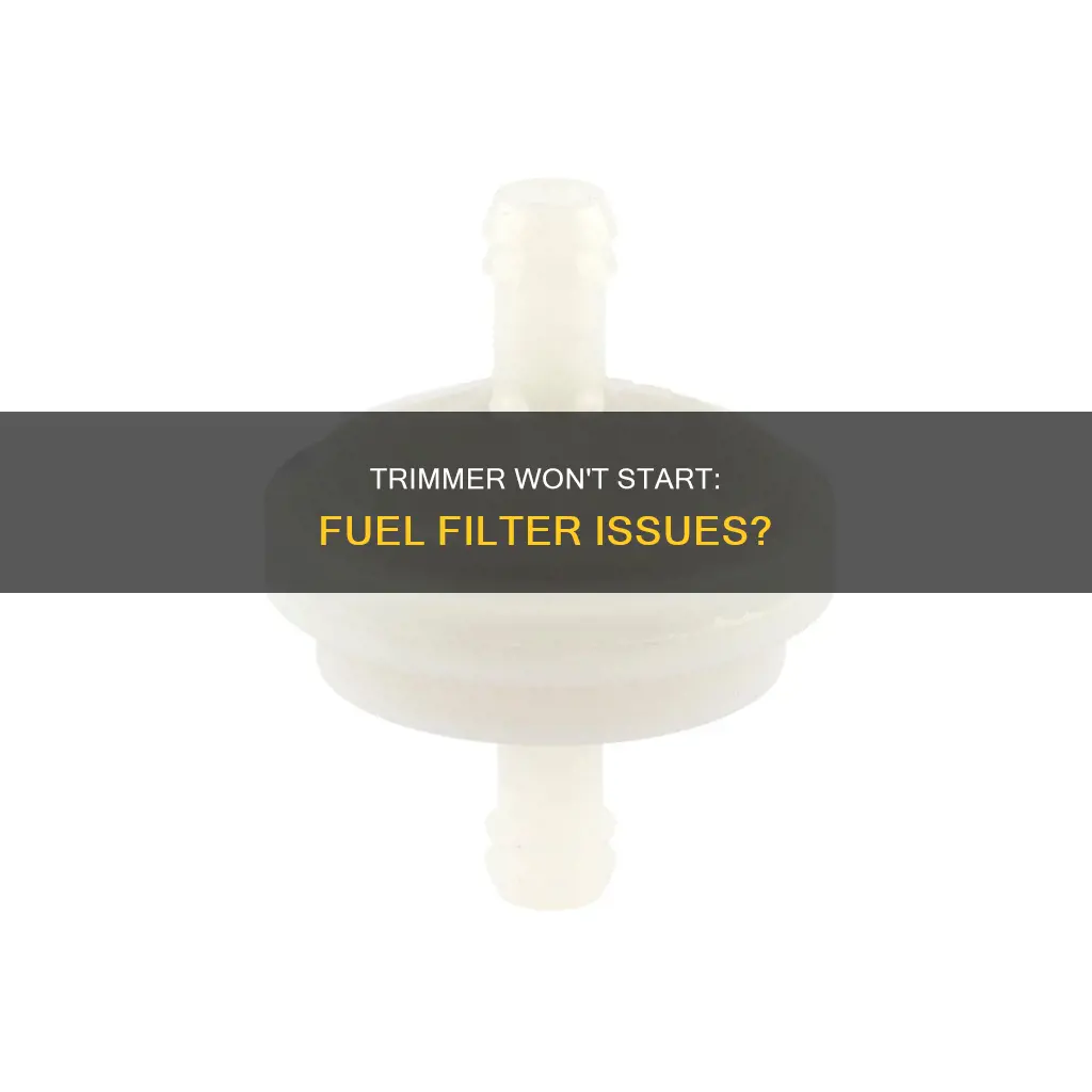 will trimmer start without fuel filter