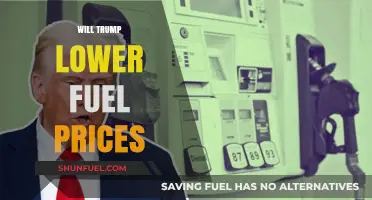 Analyzing Trump's Potential Impact on Fuel Prices: A Comprehensive Look