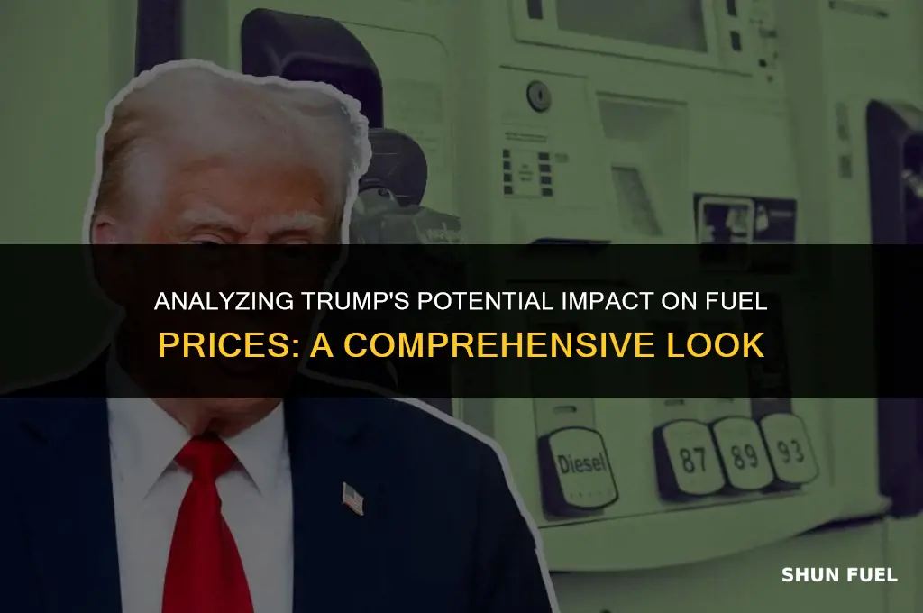 will trump lower fuel prices
