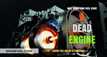 Can Pure Fuel Revive a Dead Engine? Exploring the Possibility