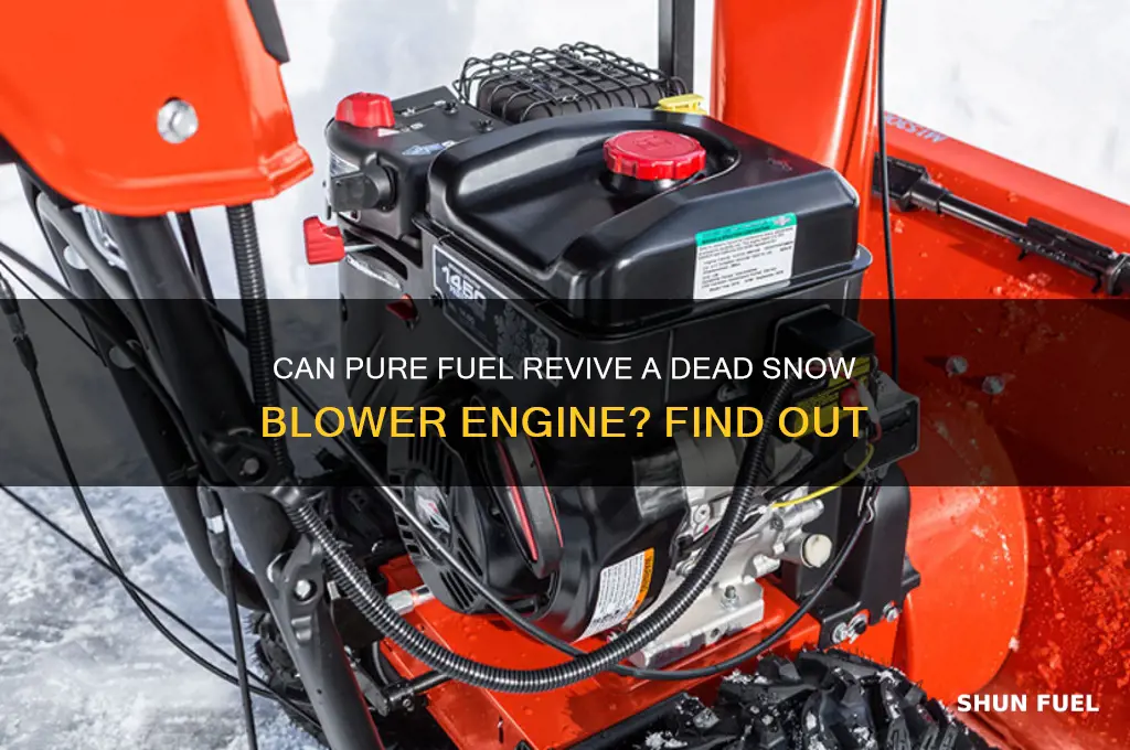 will using pure fuel start a dead snow blower engine