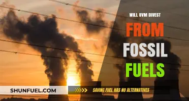 Will UVM Divest from Fossil Fuels? A Critical Climate Decision