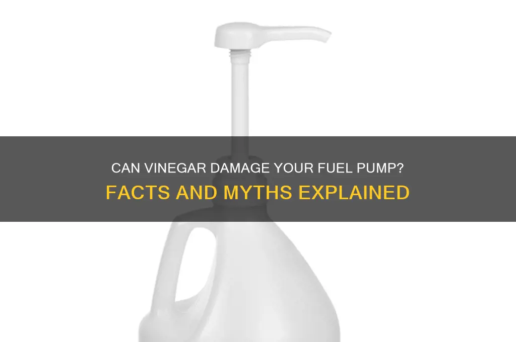 will vinegar hurt a fuel pump