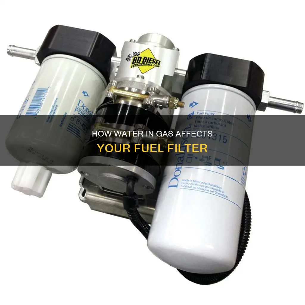 will water in my gas damage my fuel filter