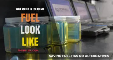 How Water in Diesel Fuel Looks Like?