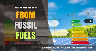 Breaking Free: Can We Transition Beyond Fossil Fuels for Good?