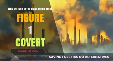 The Future of Energy: Will Fossil Fuels Ever Become Obsolete?