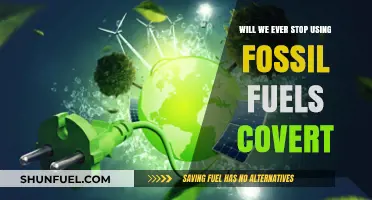 The Future of Energy: Can We Break Free from Fossil Fuels?