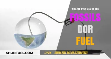 Fossil Fuels: Finite Resource or Eternal Energy Source?