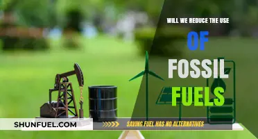 Can We Break Free from Fossil Fuels: A Sustainable Future Ahead?