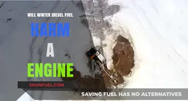 Winter Diesel Fuel: Engine Friend or Foe?