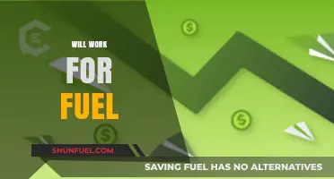Will Work for Fuel: A Survival Guide in the Gig Economy