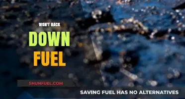 Unwavering Resolve: The Power of 'Won't Back Down Fuel' Explained