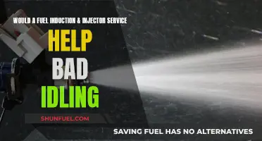 Fuel Induction and Injector Service: Cure for Bad Idling?