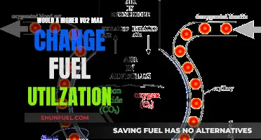 VO2 Max and Fuel Utilization: A Complex Relationship