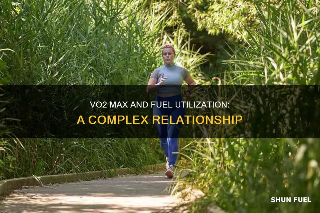 would a higher vo2 max change fuel utilzation