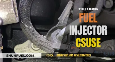 Fuel Injector Leaks: What Could Go Wrong?