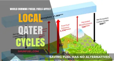 Burning Fossil Fuels: Impact on Local Water Cycles Explained
