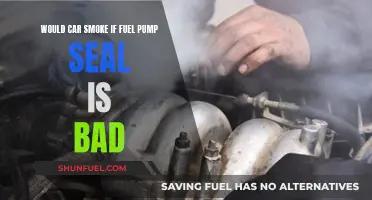 Car Smoke: When a Bad Fuel Pump Seal Causes Issues