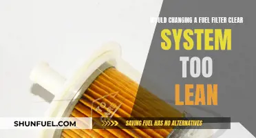 Fuel Filter Fixes: Clearing 'Too Lean' Systems