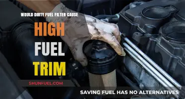 Dirty Fuel Filter: High Fuel Trim Culprit?