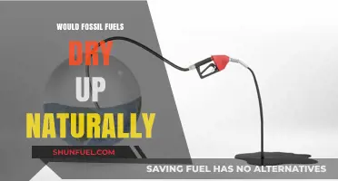 Will Fossil Fuels Naturally Deplete? Exploring Earth's Finite Energy Reserves