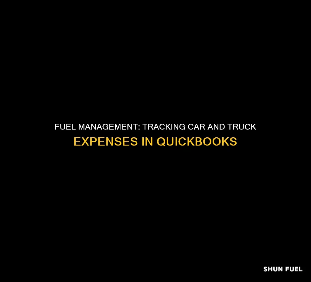 would fuel in quickbooks be under car and trucks