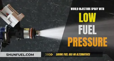 Fuel Injector Functionality: Low Pressure, No Spray?