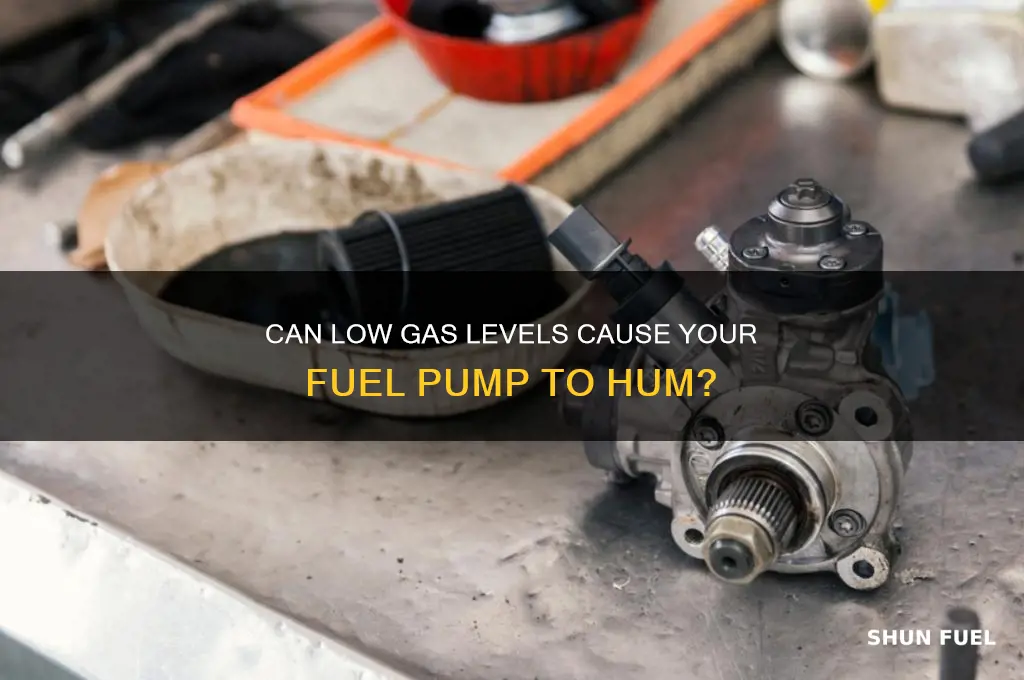 would low gas cause fuel pump to hum