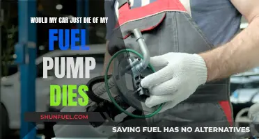 Car's Fuel Pump Failure: What to Expect When It Dies