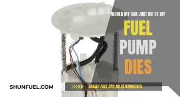 Car Fuel Pump: Can Your Car Survive Its Demise?