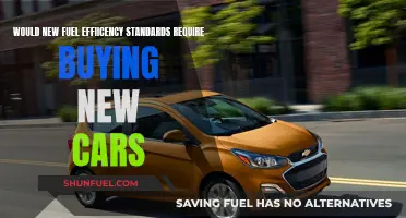 New Fuel Efficiency Standards: New Cars Needed?