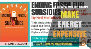 Ending Fossil Fuel Subsidies: Higher Energy Costs or Sustainable Future?