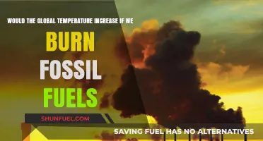 Burning Fossil Fuels: Impact on Global Temperature Rise Explained