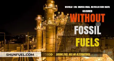 Could the Industrial Revolution Have Happened Without Fossil Fuels?